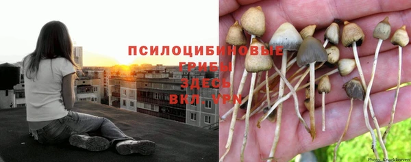 стафф Беломорск