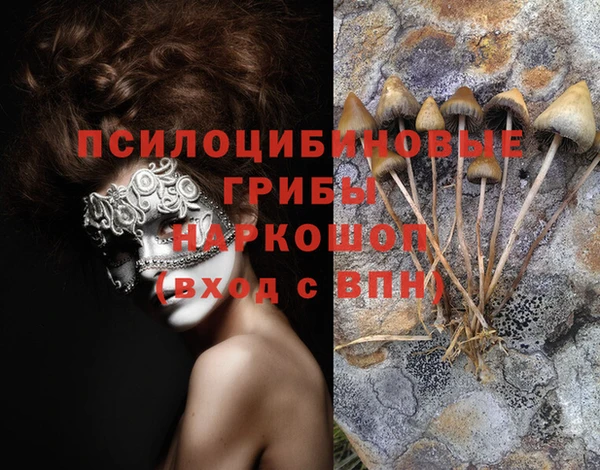 ECSTASY Ладушкин
