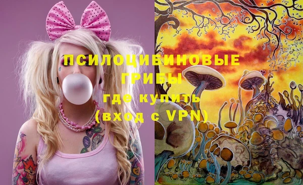 стафф Лабытнанги