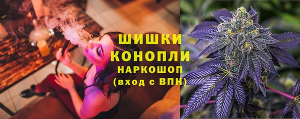 сатива Белокуриха