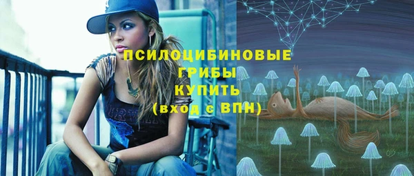 сатива Белокуриха